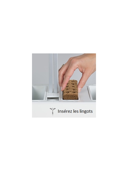 Lingot® Sans graines- Compatible Potager d'Intérieur Véritable® et